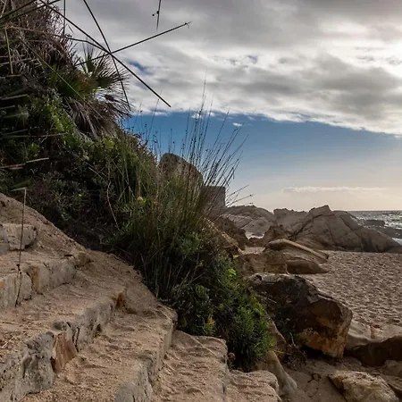 Mi Pequena Alba Vila